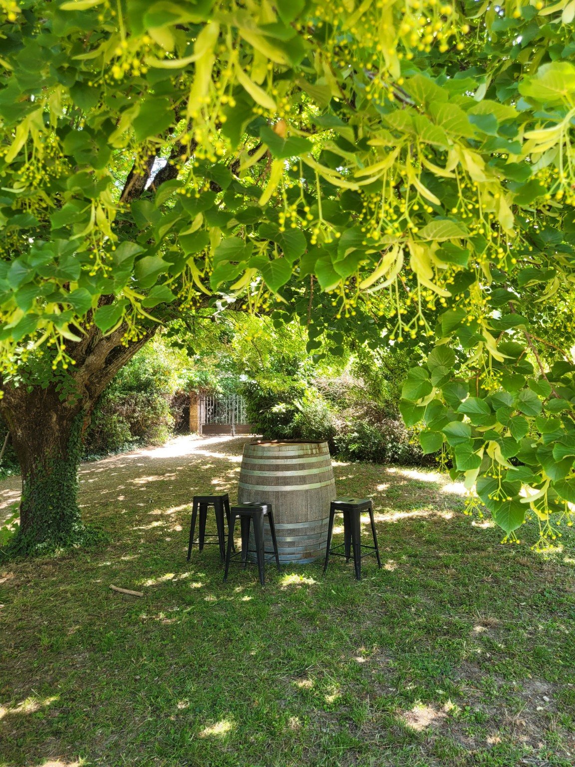 Groene tuin met zithoek